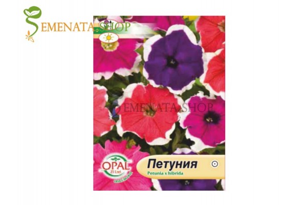 Семена на каскадна петуния микс - Petunia x hybrida